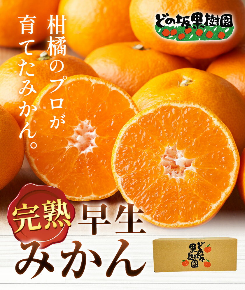 【ふるさと納税】【先行予約】早生みかん サイズおまかせ 選べる 内容量 約 5kg 約10kgどの坂果樹園《12月上旬-1月末頃出荷予定》和歌山県 日高町 みかん 早生 旬 柑橘 フルーツ 果物 蜜柑 ミカン サムネイル2