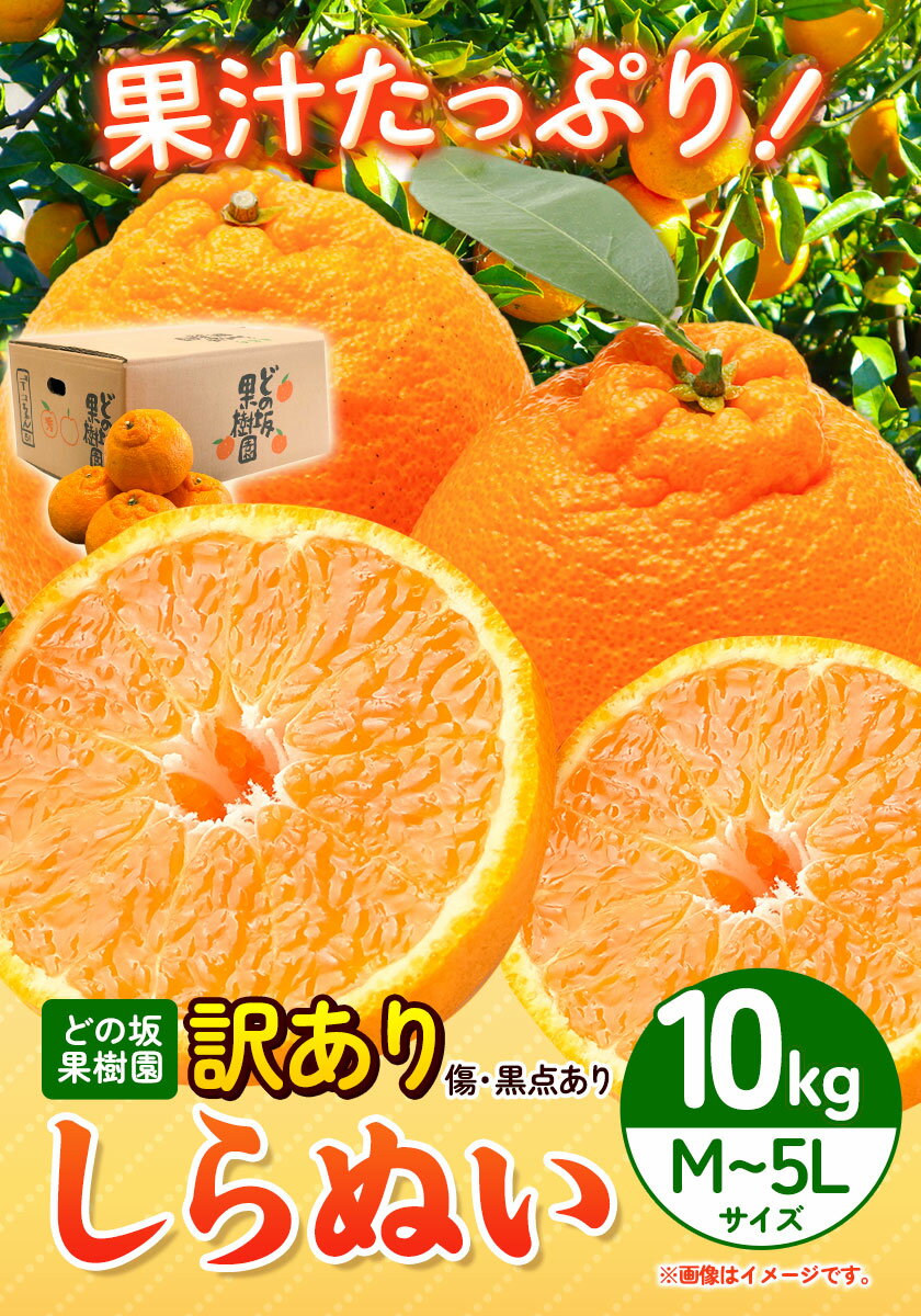 【ふるさと納税】訳あり 不知火 ( デコポン と同品種 ) しらぬい 約 10kg (M〜5Lサイズ) どの坂果樹園《2026年2月上旬-4月上旬頃出荷》 和歌山県 日高町 しらぬい でこぽん 旬 果物 フルーツ 柑橘 訳あり不知火 訳ありデコポン 訳ありしらぬい サムネイル2