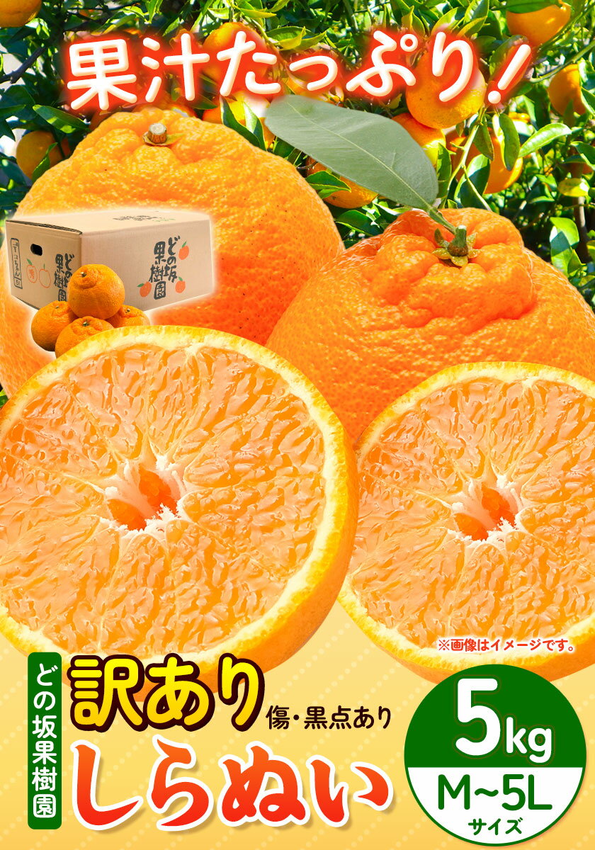【ふるさと納税】訳あり 不知火 ( デコポン と同品種 ) しらぬい 約 5kg (M〜5Lサイズ) どの坂果樹園《2026年2月上旬-4月上旬頃出荷》 和歌山県 日高町 しらぬい でこぽん 旬 果物 フルーツ 柑橘 訳あり不知火 訳ありデコポン 訳ありしらぬい サムネイル2