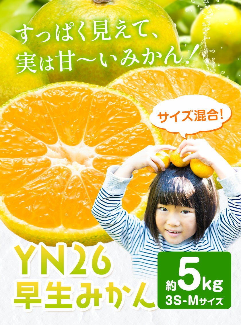 【ふるさと納税】みかん 早生みかん YN26 早生 みかん サイズ混合 約5kg 3S-Mサイズ どの坂果樹園《2026年9月上旬-9月下旬頃出荷》和歌山県 日高町 産地直送 不揃い 柑橘類 みかん 旬 フルーツ 果物 柑橘 送料無料 サムネイル2