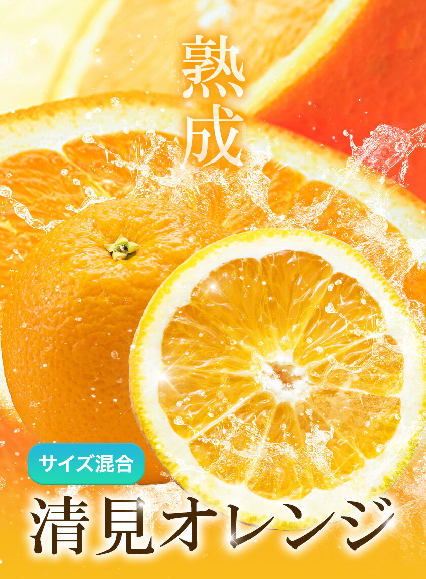 【ふるさと納税】熟成 清見オレンジ 10kg 5kg どの坂果樹園《2026年3月上旬-5月中旬頃出荷》 和歌山県 日高町 清見オレンジ 旬 柑橘 フルーツ 果物 オレンジ 熟成 サムネイル2