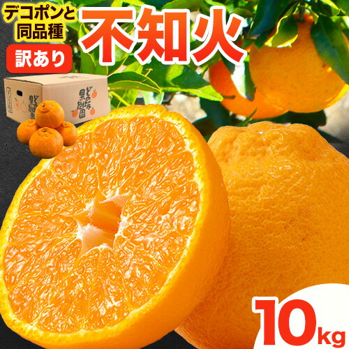 訳あり 不知火 ( デコポン と同品種 ) しらぬい 約 10kg (M〜5Lサイズ) どの坂果樹園《2026年2月上旬-4月上旬頃出荷》 和歌山県 日高町 しらぬい でこぽん 旬 果物 フルーツ 柑橘 訳あり不知火 訳ありデコポン 訳ありしらぬい