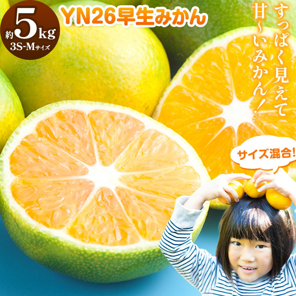みかん 早生みかん YN26 早生 みかん サイズ混合 約5kg 3S-Mサイズ どの坂果樹園《2026年9月上旬-9月下旬頃出荷》和歌山県 日高町 産地直送 不揃い 柑橘類 みかん 旬 フルーツ 果物 柑橘 送料無料