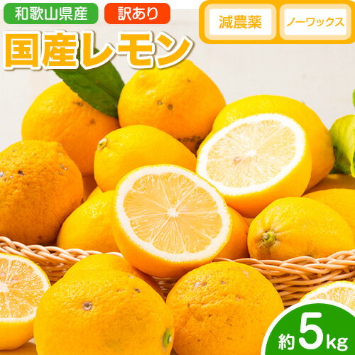 レモン 訳あり 国産 レモン 5kg (サイズ混合) ノーワックス 減農薬 どの坂果樹園《2026年2月上旬-5月末頃出荷》 和歌山県 日高町 レモン れもん 檸檬 家庭用 旬 新鮮 果物 柑橘 フルーツ 訳あり 大容量 Lemon lemon 送料無料