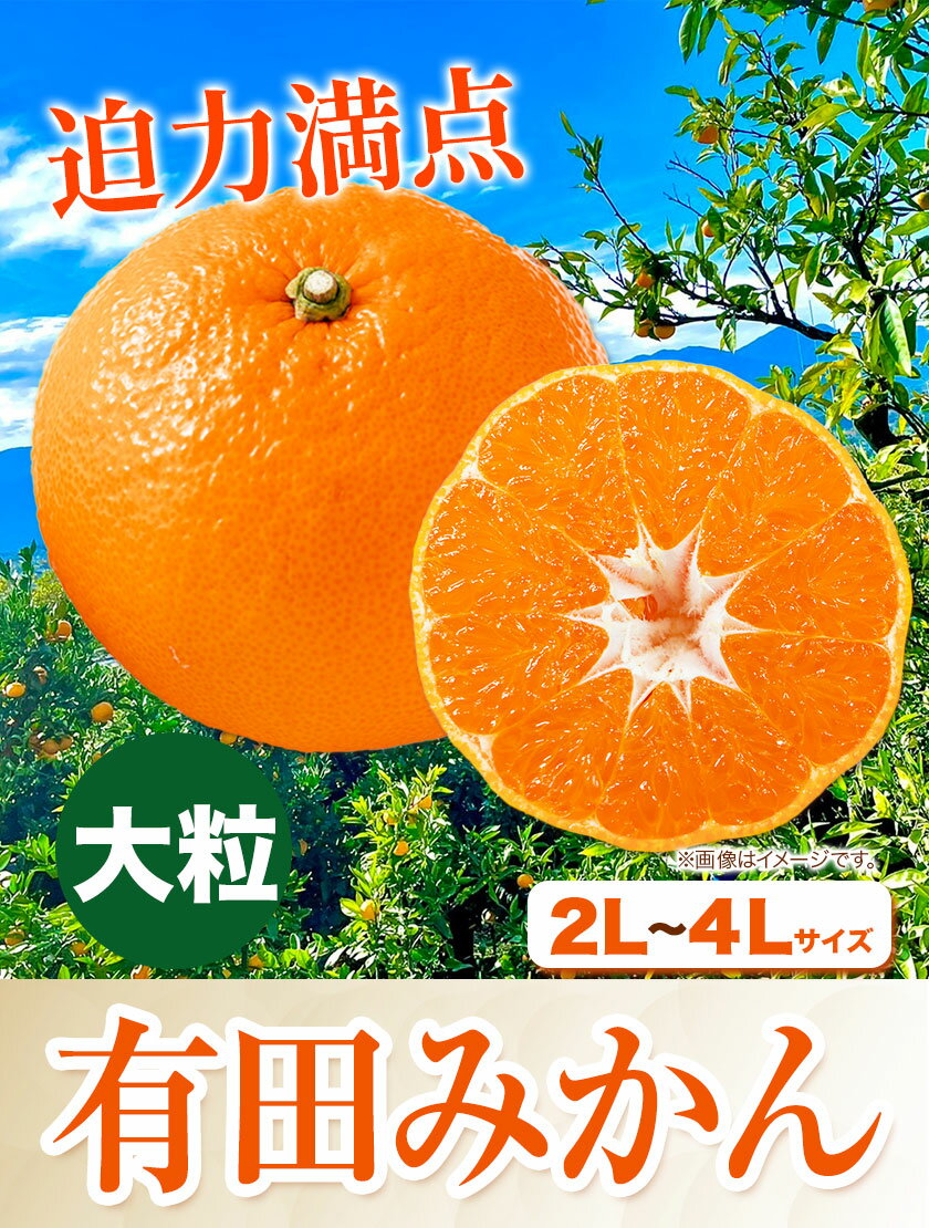 【ふるさと納税】迫力満点！大粒 有田みかん 2L〜4Lサイズ 選べる内容量 約 2kg 約 4kg 約 5kg 約 10kg 有田マルシェ《11月上旬-1月上旬頃出荷予定》 和歌山県 日高町 みかん 大粒 有田みかん 温州みかん 柑橘 フルーツ ミカン 蜜柑 送料無料 サムネイル2