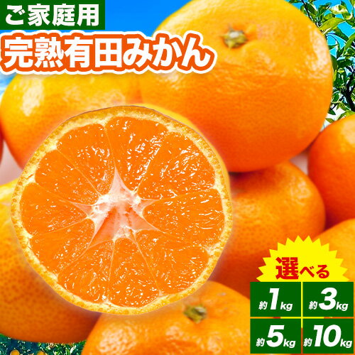 みかん ご 家庭用 完熟 有田みかん 約 1kg 約 3kg 約 5kg 約10kg有田マルシェ《選べる出荷時期 11月出荷 もしくは 12月出荷予定》 和歌山県 日高町 みかん 有田みかん 柑橘 フルーツ 完熟 送料無料 訳あり みかん 蜜柑 ミカン 柑橘