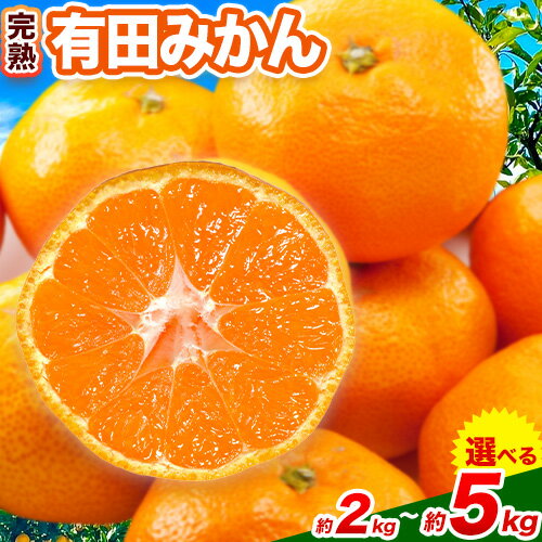 みかん 完熟有田みかん 約 2kg 約 3kg 約 5kg 有田マルシェ《11月中旬-1月上旬頃出荷予定》 和歌山県 日高町 みかん 有田 みかん 柑橘 フルーツ 完熟 ミカン 蜜柑 送料無料