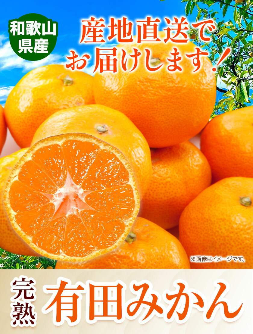 【ふるさと納税】みかん 完熟有田みかん 約 2kg 約 3kg 約 5kg 有田マルシェ《11月中旬-1月上旬頃出荷予定》 和歌山県 日高町 みかん 有田 みかん 柑橘 フルーツ 完熟 ミカン 蜜柑 送料無料 サムネイル2
