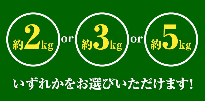 【ふるさと納税】みかん 完熟有田みかん 約 2kg 約 3kg 約 5kg 有田マルシェ《11月中旬-1月上旬頃出荷予定》 和歌山県 日高町 みかん 有田 みかん 柑橘 フルーツ 完熟 ミカン 蜜柑 送料無料 サムネイル3