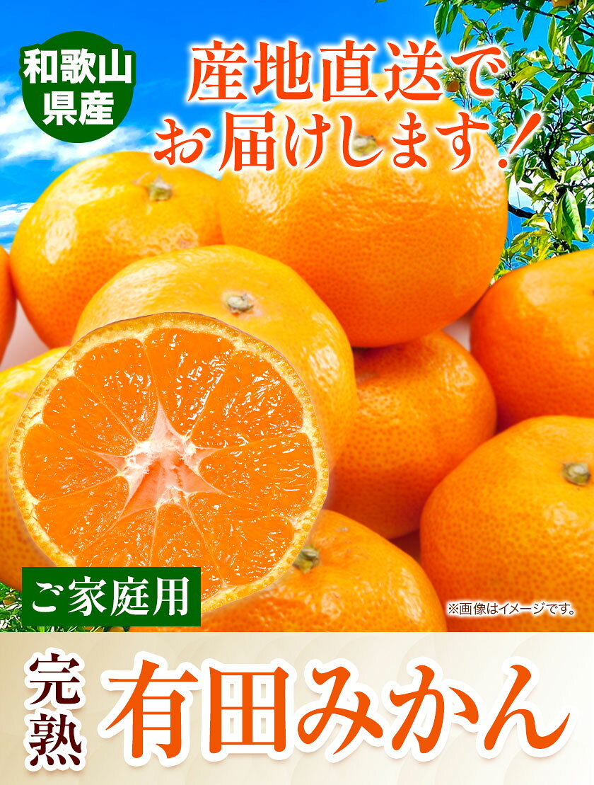 【ふるさと納税】みかん ご 家庭用 完熟 有田みかん 約 1kg 約 3kg 約 5kg 約10kg有田マルシェ《選べる出荷時期 11月出荷 もしくは 12月出荷予定》 和歌山県 日高町 みかん 有田みかん 柑橘 フルーツ 完熟 送料無料 訳あり みかん 蜜柑 ミカン 柑橘 サムネイル2