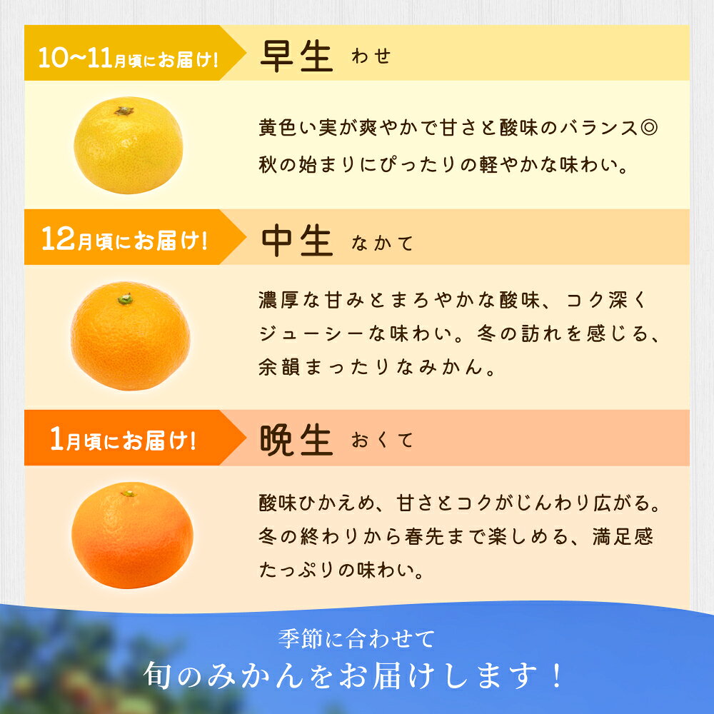 【ふるさと納税】 訳あり みかん / 手選別 温州みかん 和歌山 甘い 【選べる容量】約2kg・6kg・8kg・10kg ※2025年11月上旬～2026年2月中旬ごろに順次発送 サムネイル3