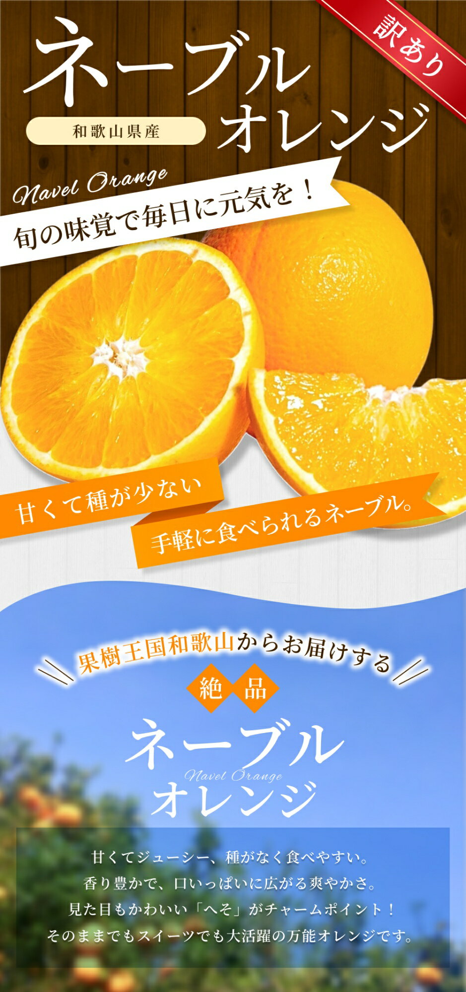 【ふるさと納税】 訳あり ネーブル オレンジ / 手選別 みかん 甘い 和歌山 訳あり 【選べる容量】 2kg 6kg 10kg サイズ混合 ※2026年1月上旬～2月中旬頃に順次発送 サムネイル2