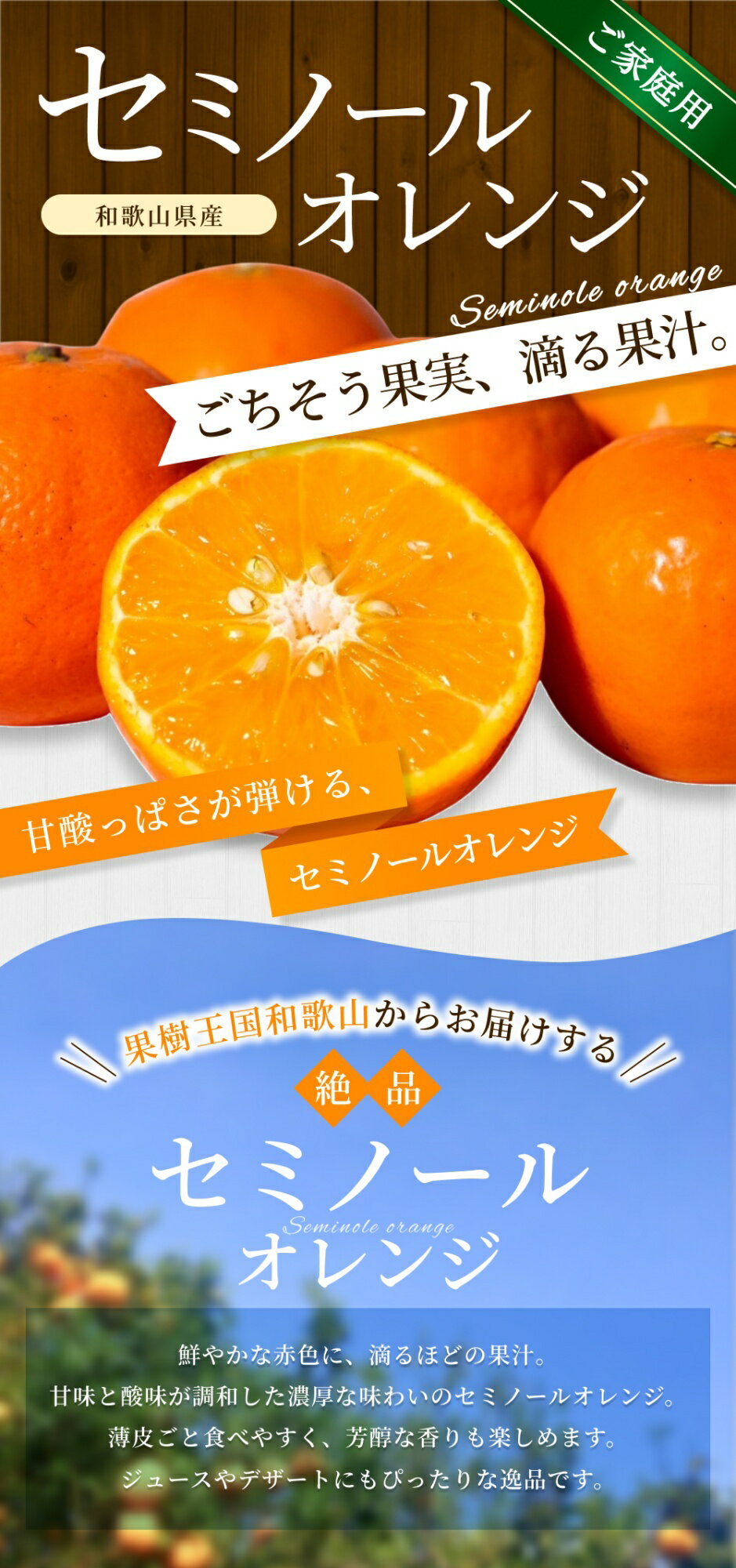【ふるさと納税】 家庭用 セミノール オレンジ / 手選別 みかん 甘い 和歌山 【選べる容量】 1.5kg 4.5kg 6kg 8kg 10kg ※2026年4月中旬～5月中旬頃に順次発送 サムネイル2