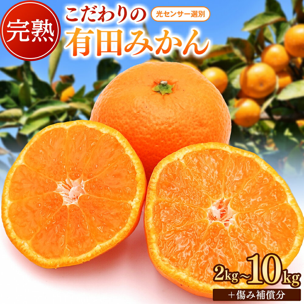 ＼新登場／ 有田 みかん 家庭用 光センサー 選別 / 完熟 温州みかん 有田みかん 甘い 家庭用 和歌山 柑橘 5kg 7.5kg 10kg ※11月中旬より順次発送予定 ※北海道・沖縄・離島への配送不可