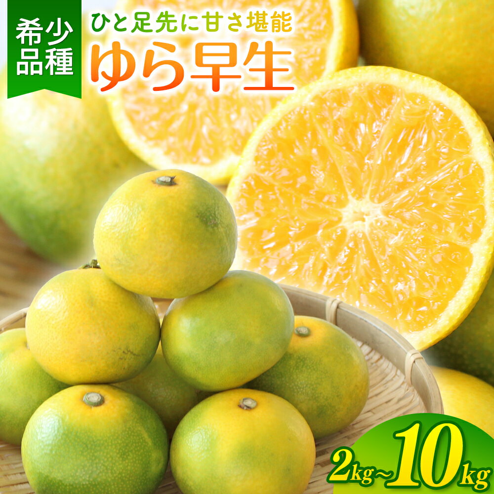 ＼新登場／ みかん 家庭用 ゆら早生 / 極早生 温州みかん 柑橘 和歌山 由良町 甘い 2kg 4kg 5kg 7kg 10kg ※沖縄・北海道・離島配送不可 ※10月上旬から順次発送