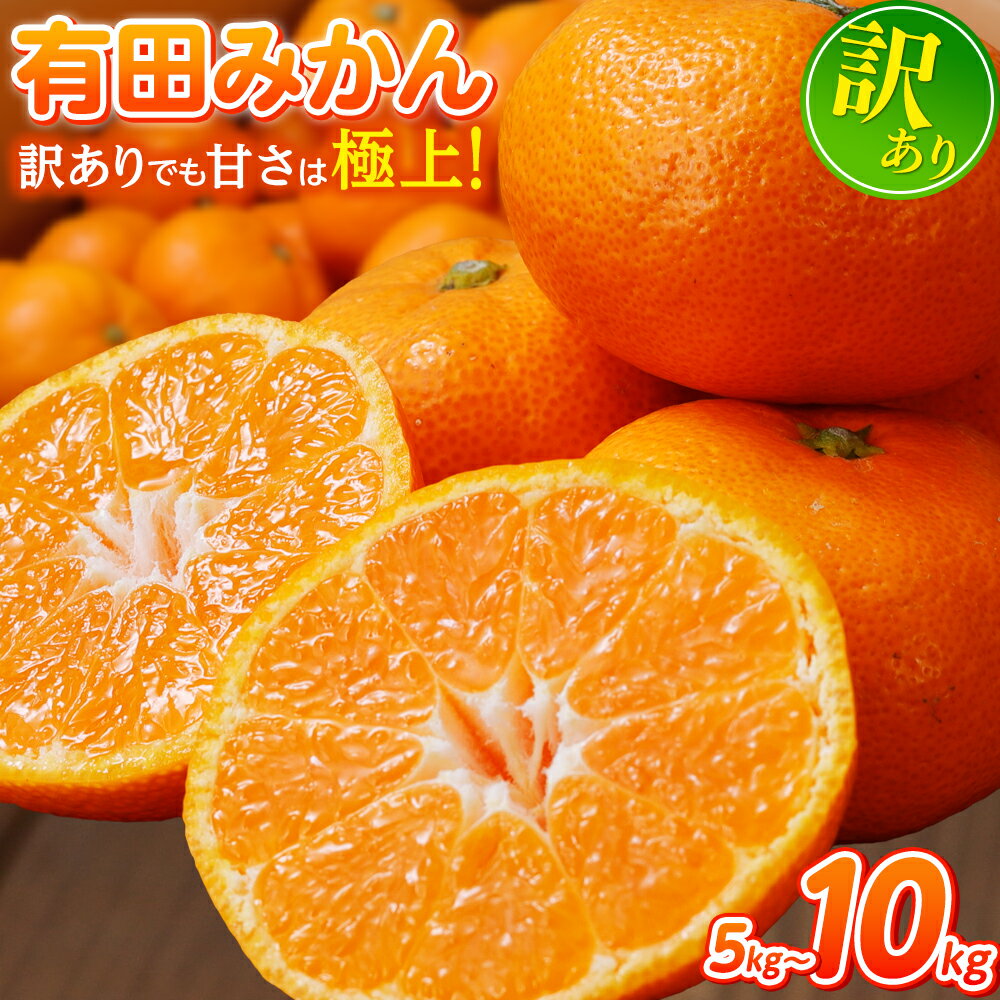 ＼新登場／ 有田 みかん 訳あり 光センサー 選別 / 温州みかん 有田みかん 甘い 家庭用 和歌山 柑橘 5kg 7.5kg 10kg ※11月中旬より順次発送予定 ※北海道・沖縄・離島への配送不可 //best
