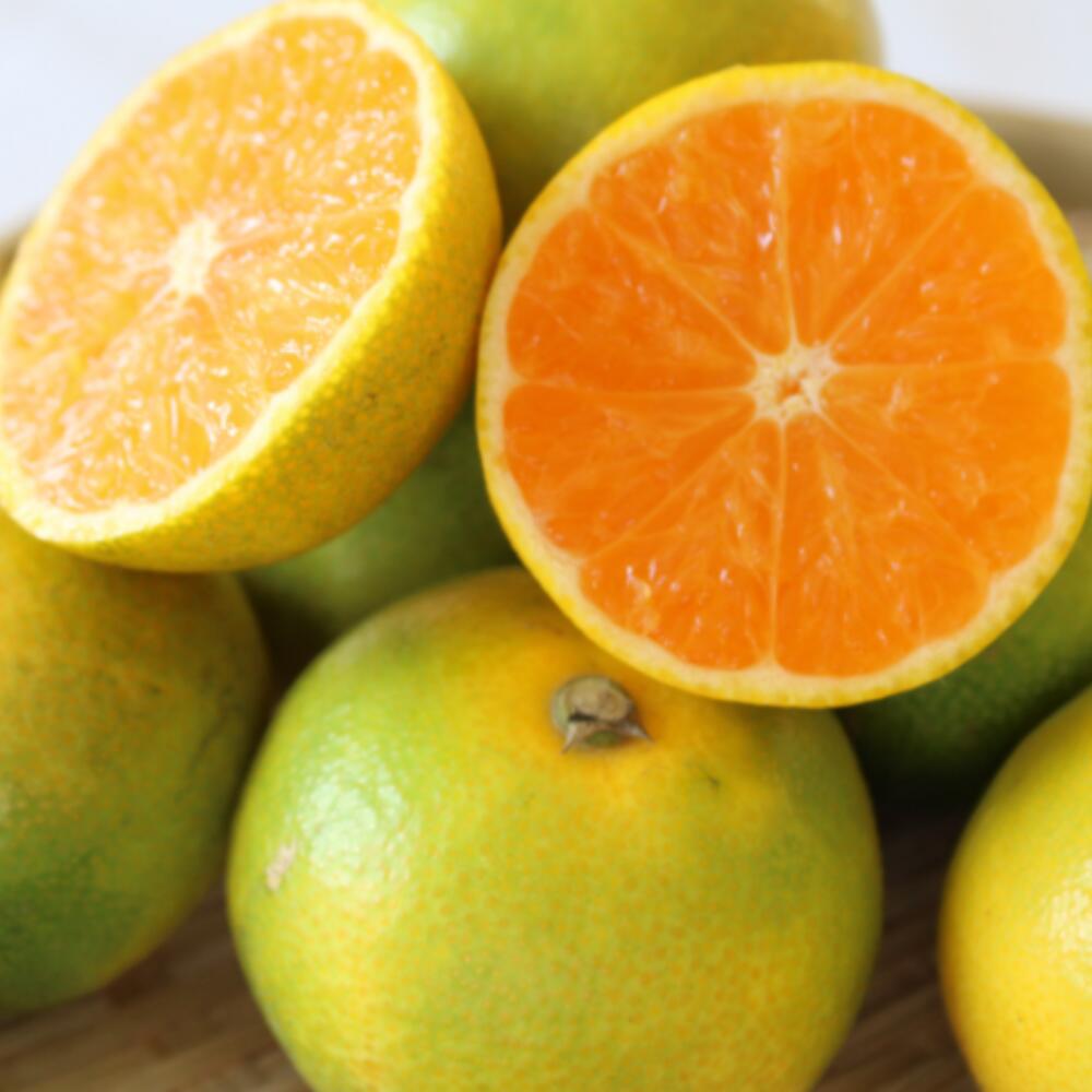 【ふるさと納税】 ＼新登場／ みかん 家庭用 ゆら早生 / 極早生 温州みかん 柑橘 和歌山 由良町 甘い 2kg 4kg 5kg 7kg 10kg ※沖縄・北海道・離島配送不可 ※10月上旬から順次発送 サムネイル3