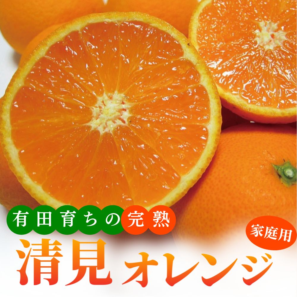 【先行予約】 産地直送 有田 育ちの ご家庭用 完熟 清見 オレンジ ※2026年2月下旬～2026年3月下旬に順次発送 ※北海道・沖縄・その他離島地域は発送不可 / みかん 和歌山 有田 オレンジ フルーツ 果物 甘い