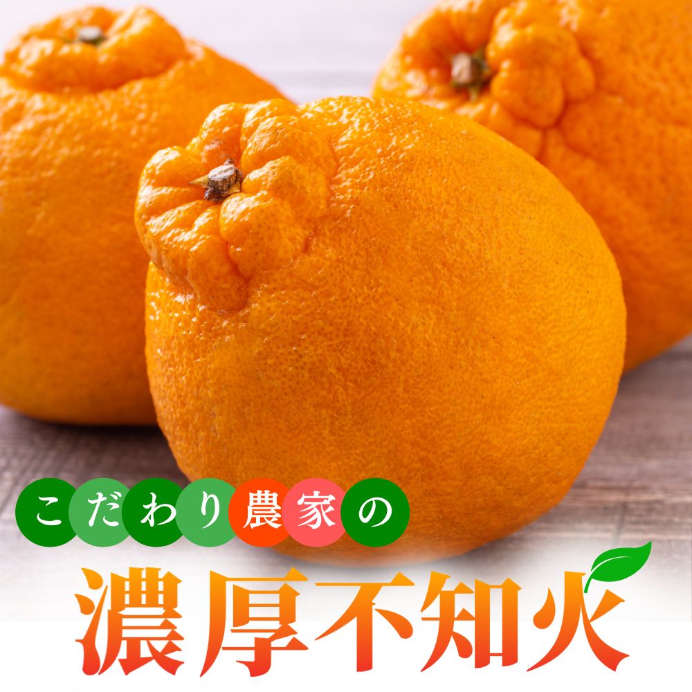 【先行予約】こだわり農家の濃厚 不知火 ※2026年2月上旬～2026年3月下旬に順次発送 ※北海道・沖縄・その他離島地域は発送不可 / みかん 蜜柑 果物 くだもの 果実 フルーツ 国産 和歌山県広川町