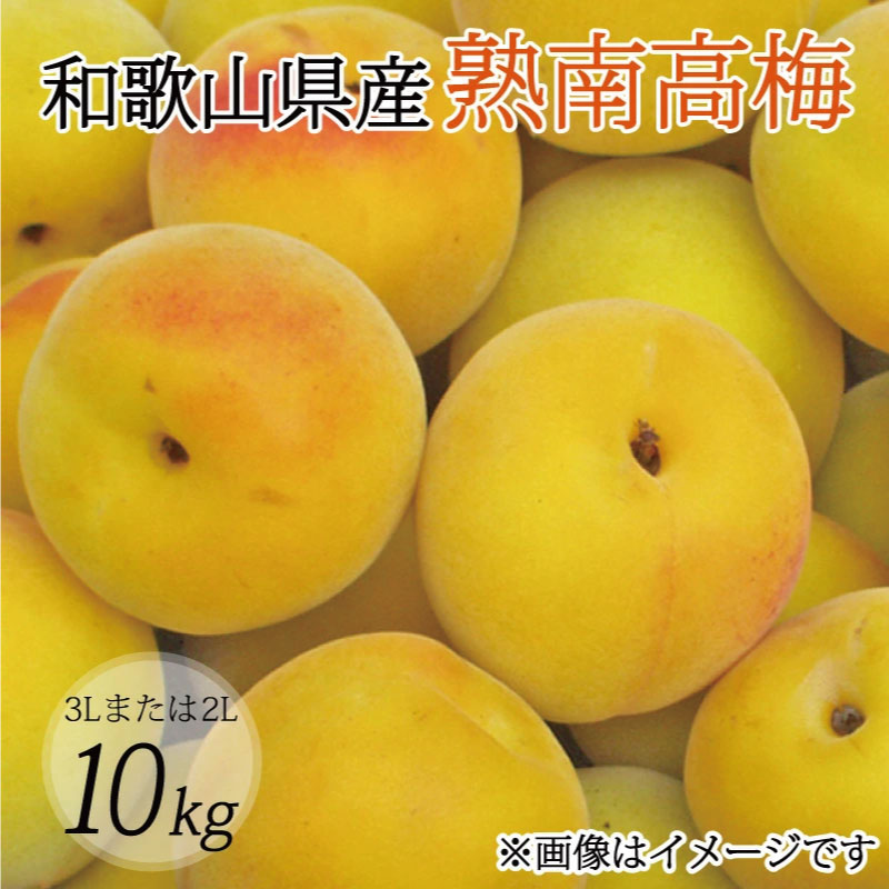 【梅干・梅酒用】（3Lまたは2L－10Kg）熟南高梅＜2026年6月上旬～7月7日発送予定＞フルーツ 果物 くだもの 食品 人気 おすすめ 送料無料【ART05】