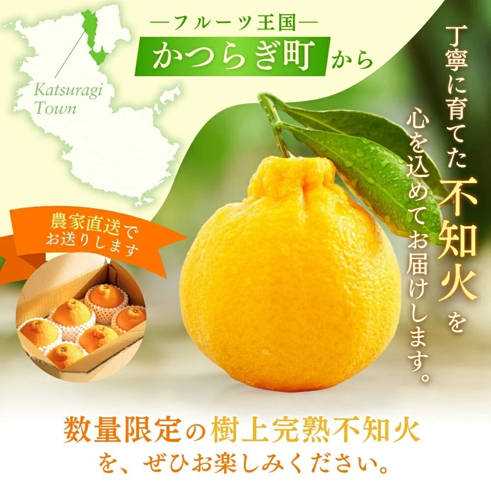 【ふるさと納税】【限定】 不知火 樹上完熟 約2kg （5～6個入）【2026年2月下旬頃～4月中旬頃まで発送】【KG6】 / 不知火 しらぬい デコポン みかん 柑橘 和歌山 家庭用 甘い サムネイル3