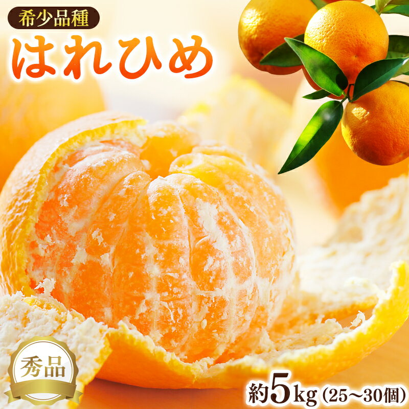 はれひめ（ミカンの希少種） 秀品 約5kg（25個～30個入）［先行予約］［2025年12月中旬頃から発送］［KG3］ | みかん 蜜柑 フルーツ 果物 くだもの 食品 人気 おすすめ 送料無料