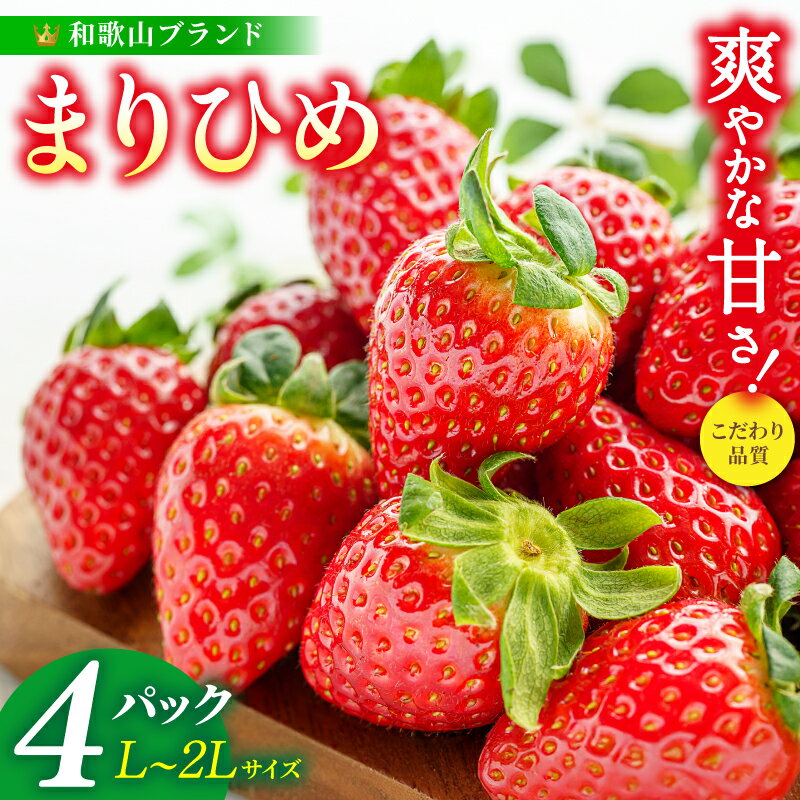 まりひめイチゴ L～2L 12粒～15粒×4パック【2026年1月中旬から発送】【先行販売】【KG8】 | 苺 イチゴ いちご フルーツ 果物 くだもの 食品 人気 おすすめ 送料無料