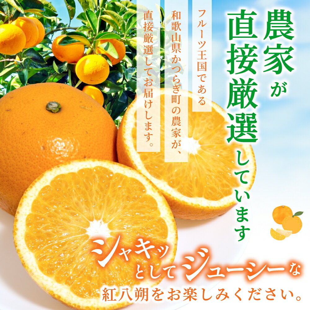 【ふるさと納税】先行予約！希少な紅はっさく 12～18個入り（L～2Lサイズ）【2025年1月初旬頃から発送】【KG9】 | はっさく フルーツ 果物 くだもの 食品 人気 おすすめ 送料無料 サムネイル3