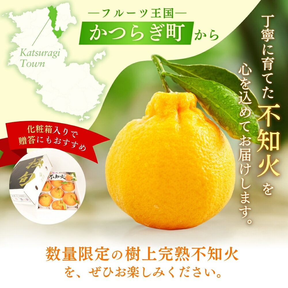 【ふるさと納税】 【先行予約】【数量わずか】樹上完熟しらぬい（不知火） 約2kg(6個) 秀品 2026年2月下旬～2026年4月中旬頃に順次発送予定（お届け日指定不可）/ 和歌山 みかん しらぬい 不知火 フルーツ 柑橘 蜜柑 果物 くだもの サムネイル3