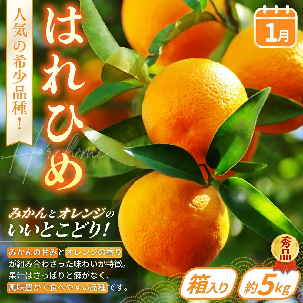 【ふるさと納税】【全4回】フルーツ王国かつらぎ町よりお届け！旬のフルーツ定期便 //best サムネイル2