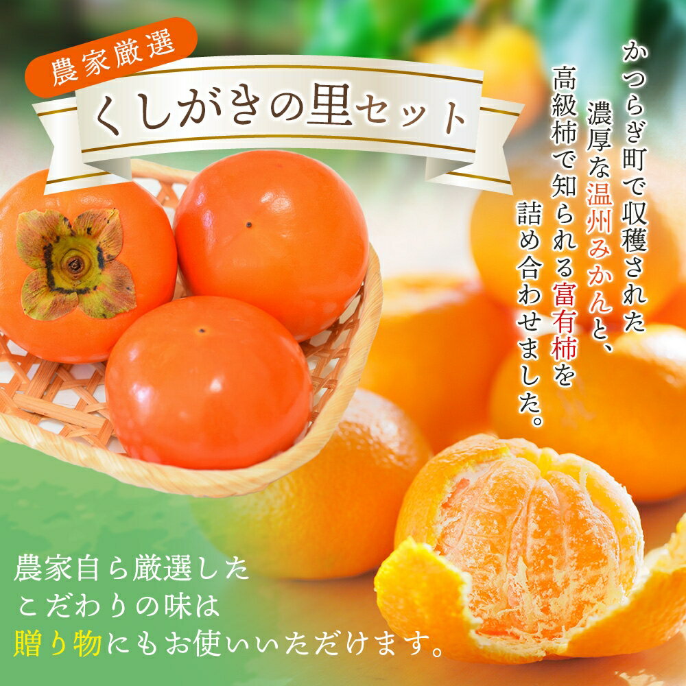 【ふるさと納税】 ≪人気商品のセットが登場！≫ 富有柿 3個 温州みかん約30個 詰め合わせ / 厳選 甘い かき みかん 和歌山 セット リピート ※2025年11月中旬頃から2026年1月中旬頃順次発送 サムネイル2