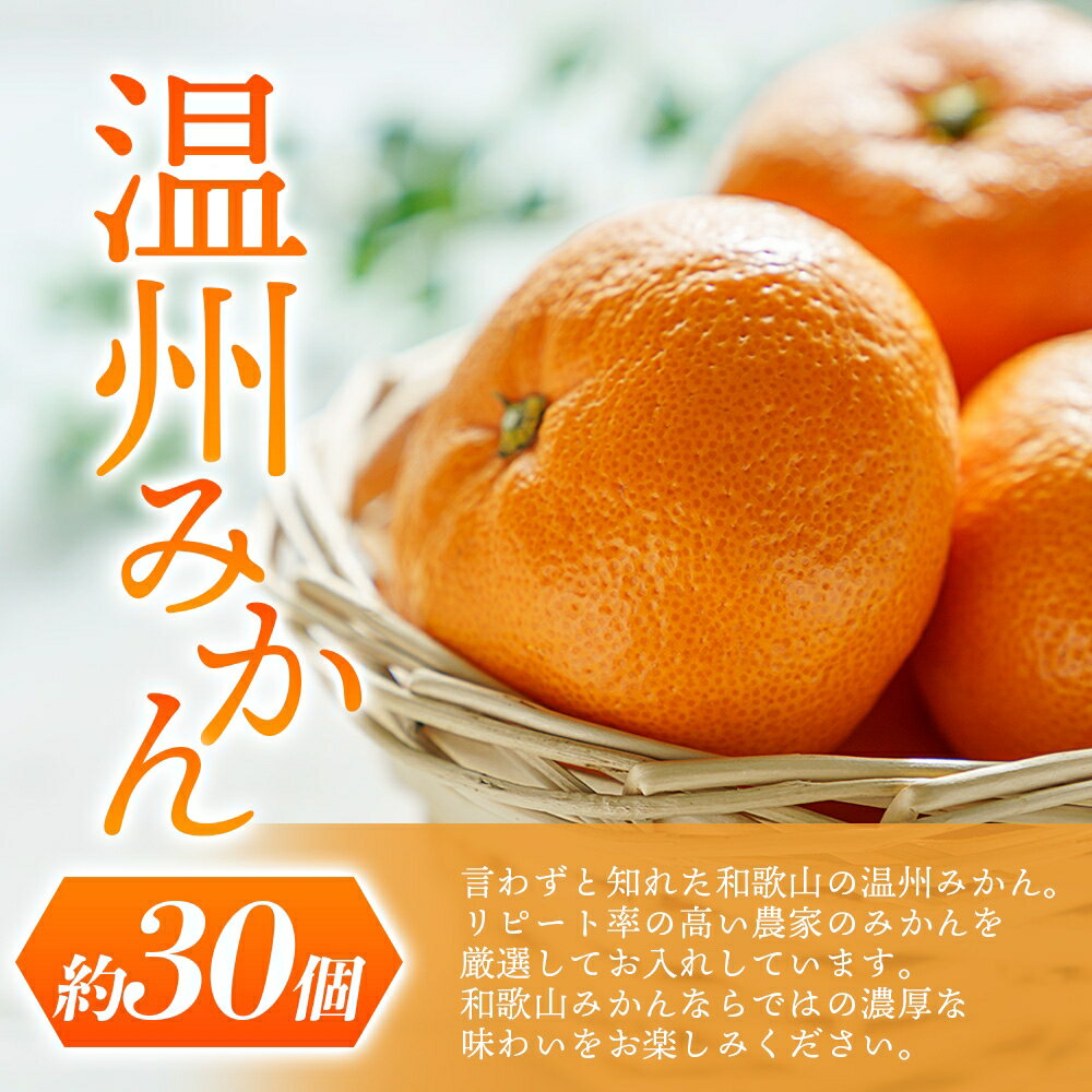 【ふるさと納税】 ≪人気商品のセットが登場！≫ 富有柿 3個 温州みかん約30個 詰め合わせ / 厳選 甘い かき みかん 和歌山 セット リピート ※2025年11月中旬頃から2026年1月中旬頃順次発送 サムネイル3