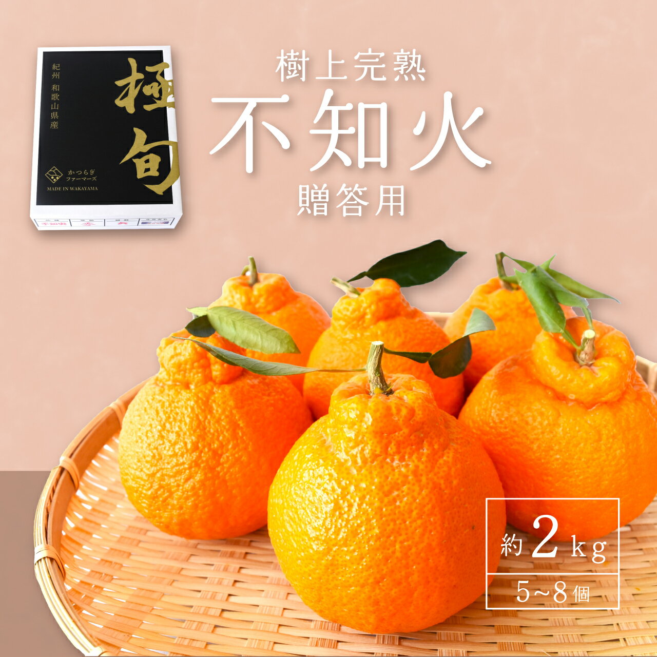 【贈答用化粧箱入】 不知火 樹上完熟 約2kg （5～8個入）【2026年2月中旬頃から発送】【KG10】 | みかん 蜜柑 フルーツ 果物 くだもの 食品 人気 おすすめ 送料無料