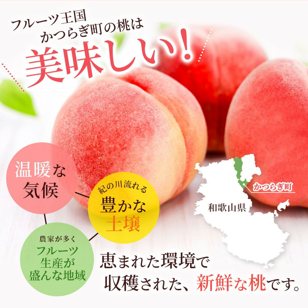 【ふるさと納税】先行販売！【モモ】 白鳳　桃の王様！食べきりやすい3個入り 【2026年6月末頃～2026年7月末頃に順次発送予定】（お届け日指定不可） 【秀品】こだわり農家厳選 【KG17】 | もも フルーツ 果物 くだもの 食品 人気 おすすめ 送料無料 //best サムネイル3