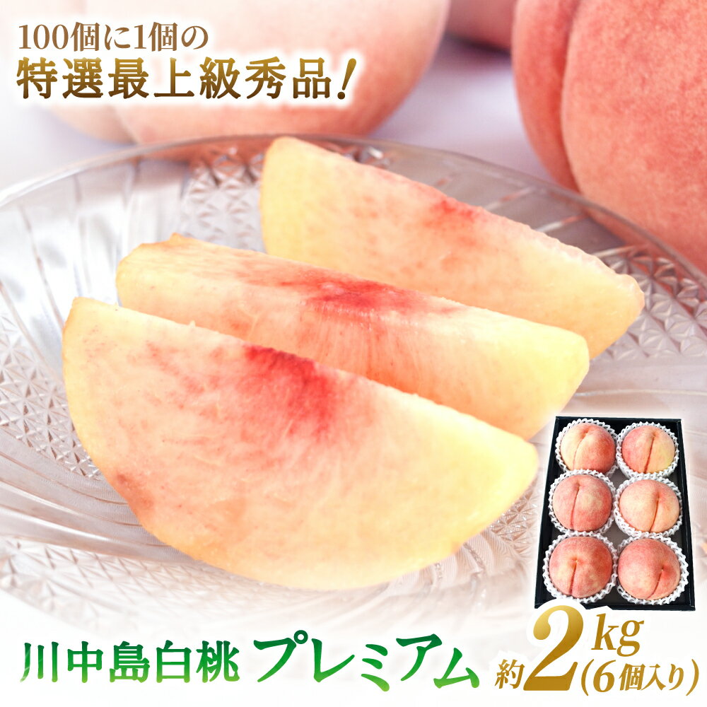 【特選最上級！】 川中島白桃 秀品 6個入り / もも 桃 特選 和歌山 甘い ※2026年7月末から8月末順次発送予定