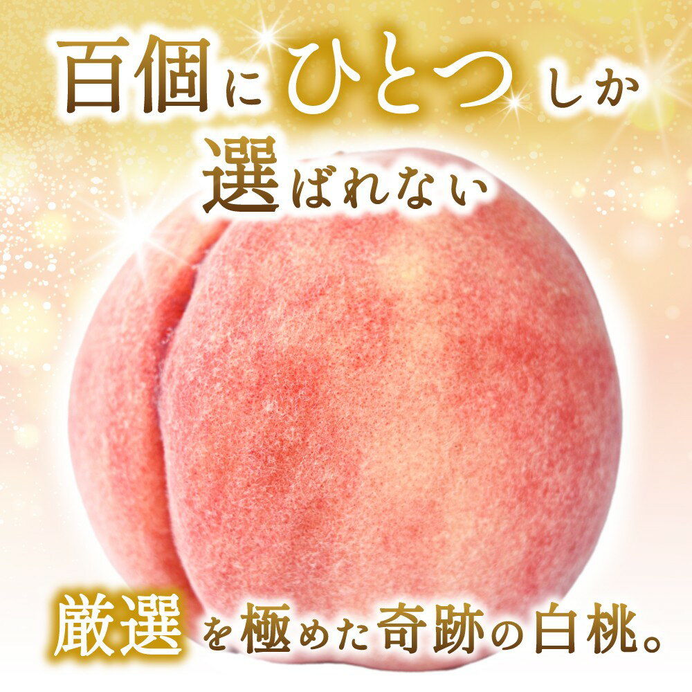 【ふるさと納税】 【特選最上級！】 川中島白桃 秀品 6個入り / もも 桃 特選 和歌山 甘い ※2026年7月末から8月末順次発送予定 サムネイル2