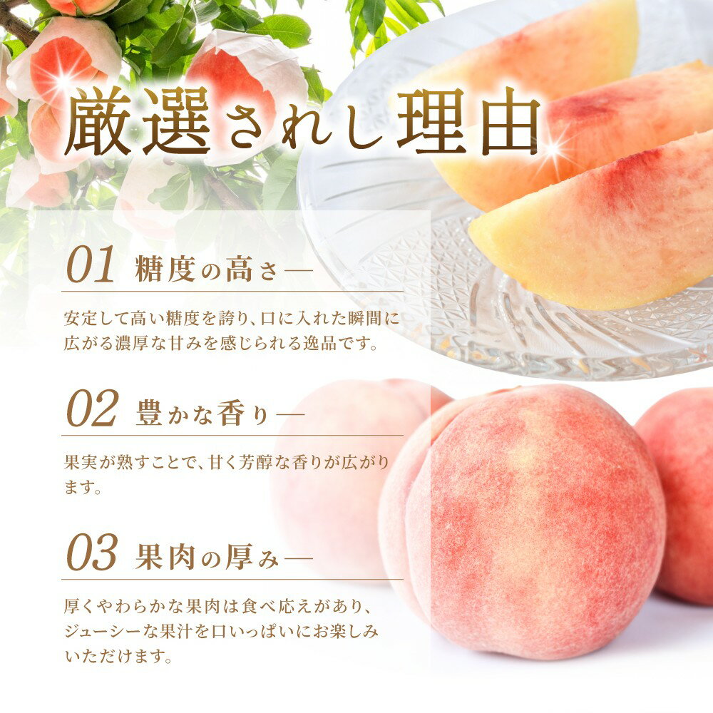 【ふるさと納税】 【特選最上級！】 川中島白桃 秀品 6個入り / もも 桃 特選 和歌山 甘い ※2026年7月末から8月末順次発送予定 サムネイル3