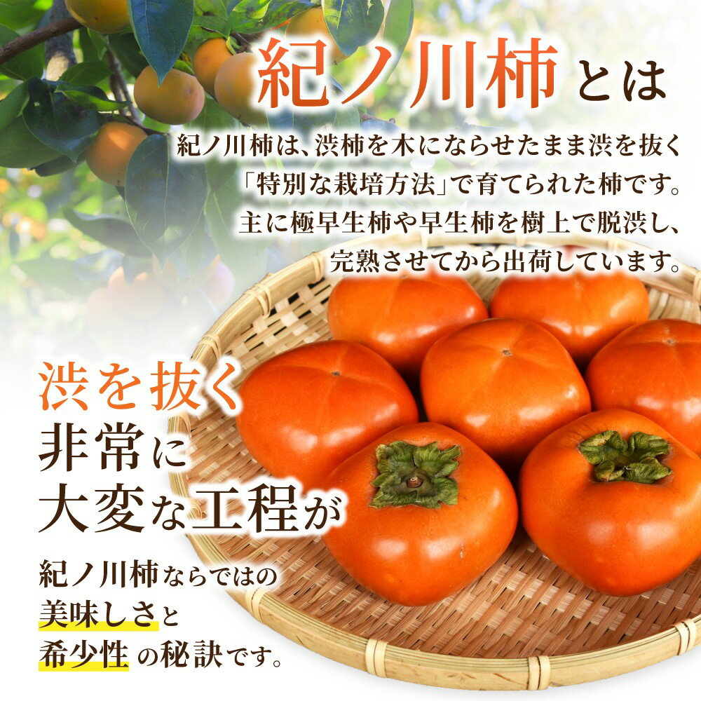 【ふるさと納税】 【2026年発送】 紀の川柿 秀品6個～9個 / 贈答 黒蜜 厳選 高級 和歌山 かき 柿 ※2026年10月上旬から11月上旬頃発送 サムネイル3