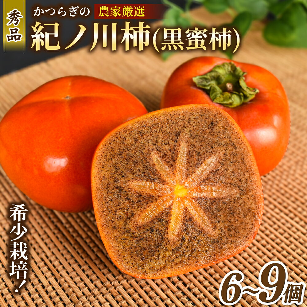 【2026年発送】 紀の川柿 秀品6個～9個 / 贈答 黒蜜 厳選 高級 和歌山 かき 柿 ※2026年10月上旬から11月上旬頃発送