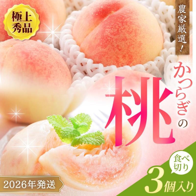 桃 極上秀品 食べきりやすい3個入 【先行予約】【2026年7月末頃～2026年8月末頃に順次発送予定】（お届け日指定不可）こだわり農家厳選！【KG1】 | もも フルーツ 果物 くだもの 食品 人気 おすすめ 送料無料