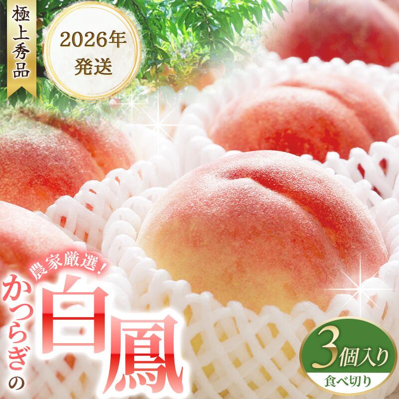 先行販売！【モモ】 白鳳　桃の王様！食べきりやすい3個入り 【2026年6月末頃～2026年7月末頃に順次発送予定】（お届け日指定不可） 【秀品】こだわり農家厳選 【KG17】 | もも フルーツ 果物 くだもの 食品 人気 おすすめ 送料無料 //best