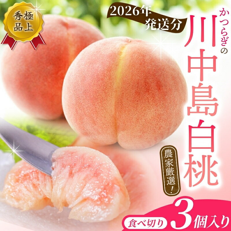 【秀品】川中島白桃 食べきりやすい3個入り【2026年7月末頃～2026年8月末頃に順次発送予定】（お届け日指定不可） こだわり 農家厳選 先行予約 モモ 【KG16】 | もも フルーツ 果物 くだもの 食品 人気 おすすめ 送料無料