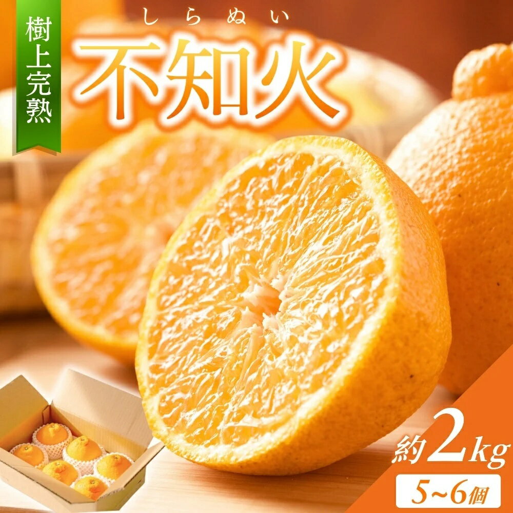 【限定】 不知火 樹上完熟 約2kg （5～6個入）【2026年2月下旬頃～4月中旬頃まで発送】【KG6】 / 不知火 しらぬい デコポン みかん 柑橘 和歌山 家庭用 甘い
