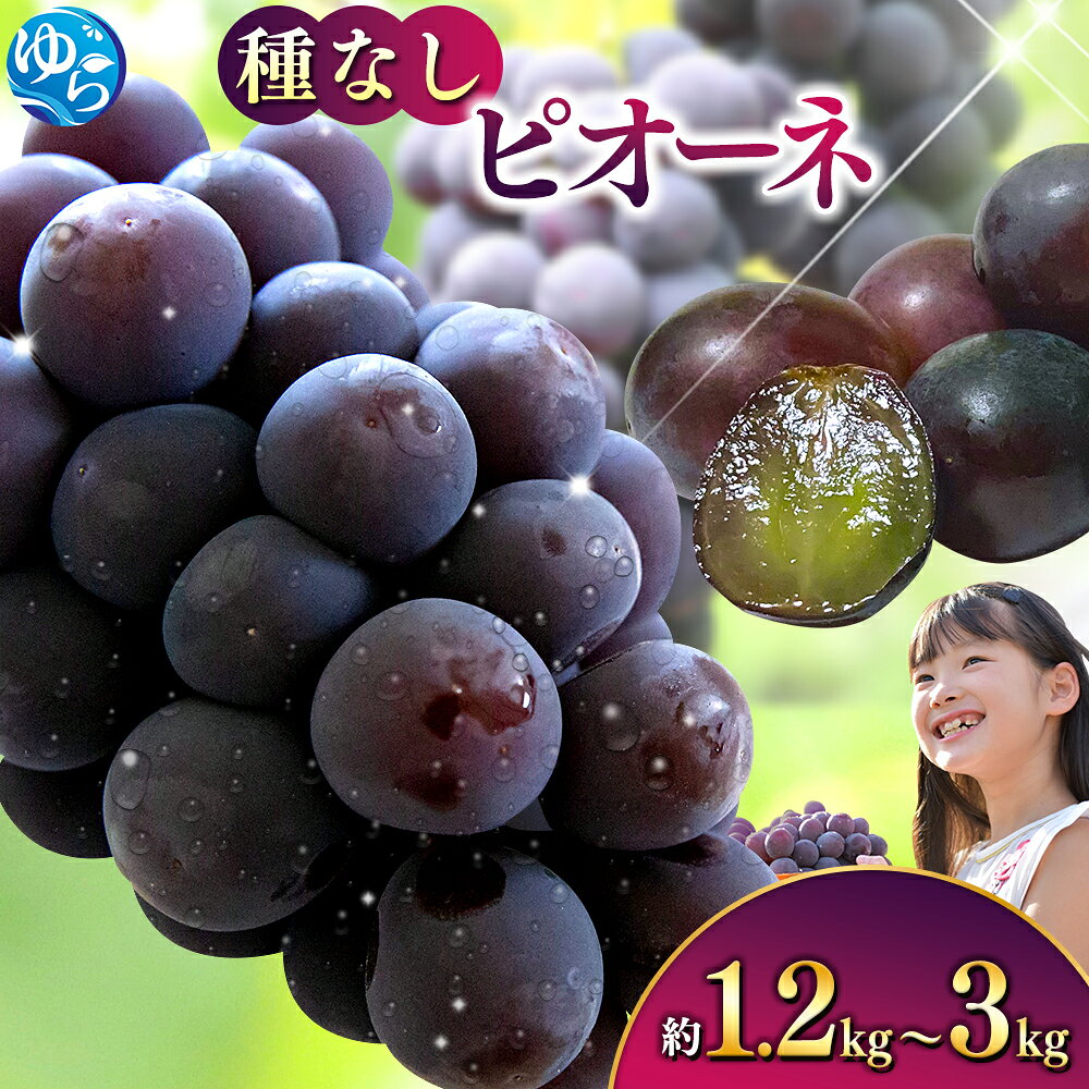 【2026年先行予約】 ピオーネ たねなし 厳選 / ぶどう 種無し 甘い 高級 和歌山 2kg 3kg ※8月中旬～9月中旬に順次発送 ※北海道・沖縄・離島への配送不可