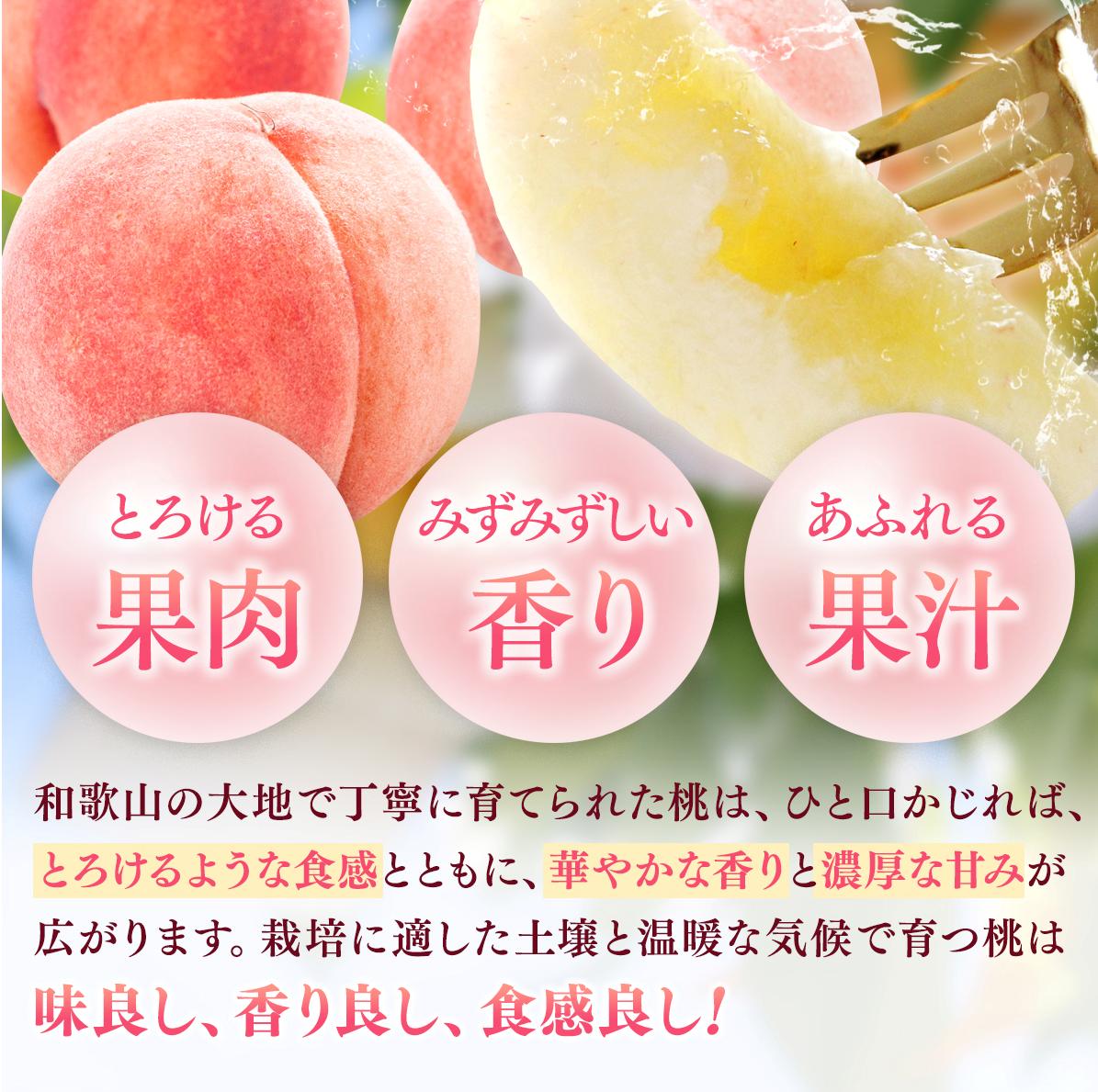 【ふるさと納税】 桃 秀品 和歌山 / もも 旬 甘い 完熟 贈答 高級 【容量選べる】2kg／4kg ★来シーズン★ ※2026年6月下旬～8月上旬頃順次発送 サムネイル3