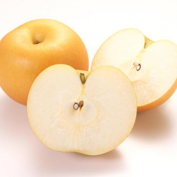 【ふるさと納税】 梨 旬の梨 品種おまかせ / 和歌山 甘い 美味しい なし 高級 2kg 4kg ※2026年8月下旬から順次発送予定 サムネイル2