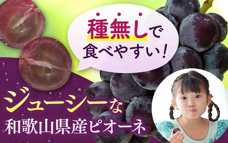 【ふるさと納税】 【2026年先行予約】 ピオーネ たねなし 厳選 / ぶどう 種無し 甘い 高級 和歌山 2kg 3kg ※8月中旬～9月中旬に順次発送 ※北海道・沖縄・離島への配送不可 サムネイル2