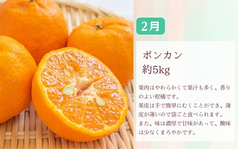 【ふるさと納税】【全3回】 【2月・3月・4月発送】 和歌山の春の柑橘 （ポンカン・はるか・ブラッドオレンジ）秀品 サムネイル2