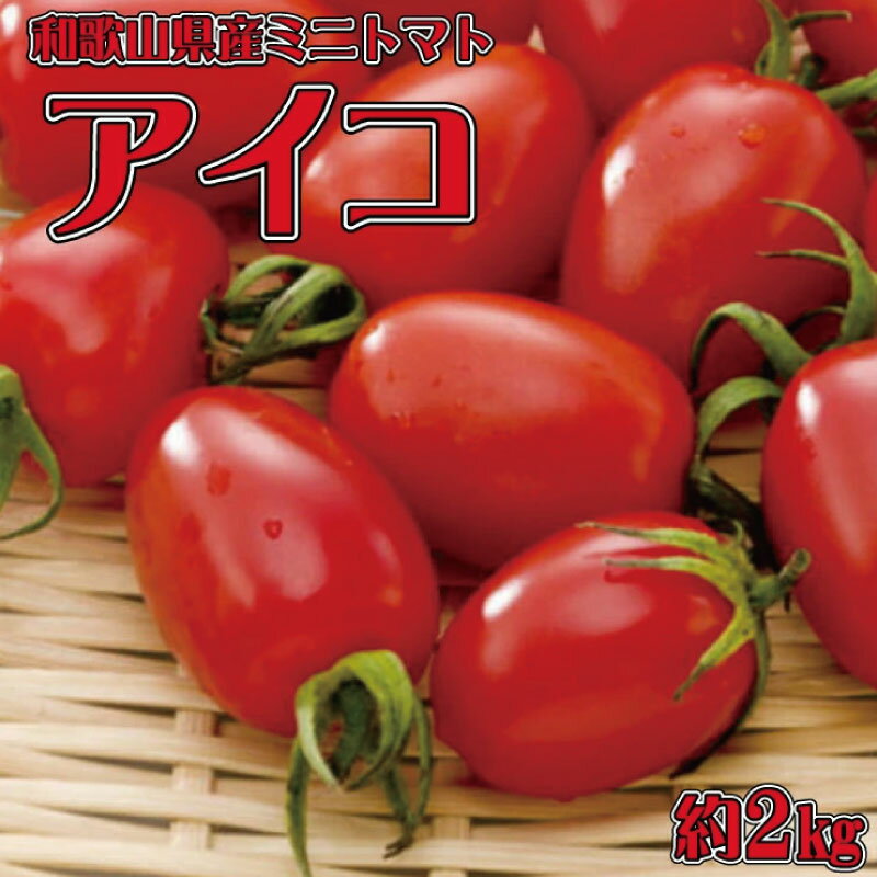 和歌山産 ミニトマト 「 アイコトマト 」 約2kg（S・Mサイズおまかせ）［TM109］ / 和歌山 由良 和歌山県 由良町 和歌山県由良町 楽天ふるさと 納税 取り寄せ お取り寄せ グルメ お取り寄せグルメ ご当地 ご当地グルメ トマト ミニトマト 野菜