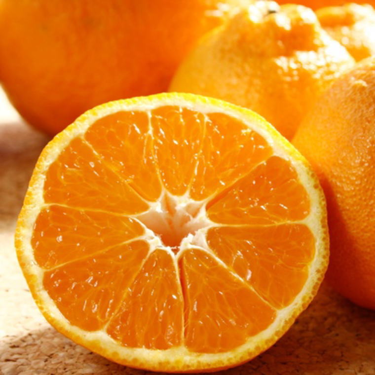 【ふるさと納税】【濃厚】有田の不知火約5kg（18～28玉）★2026年2月中旬～4月中旬頃より順次発送【TM36】 | 和歌山 由良 和歌山県 由良町 和歌山県由良町 納税 取り寄せ お取り寄せ フルーツ お取り寄せフルーツ ご当地 ご当地フルーツ 果物 くだもの 柑橘 柑橘類 サムネイル2